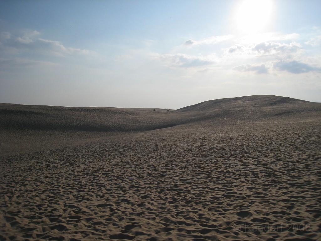 Michigans West Coast 2009 0240.jpg - Labor Day 2009. A trip along Michigans west coast to see beachs, art and buffets.